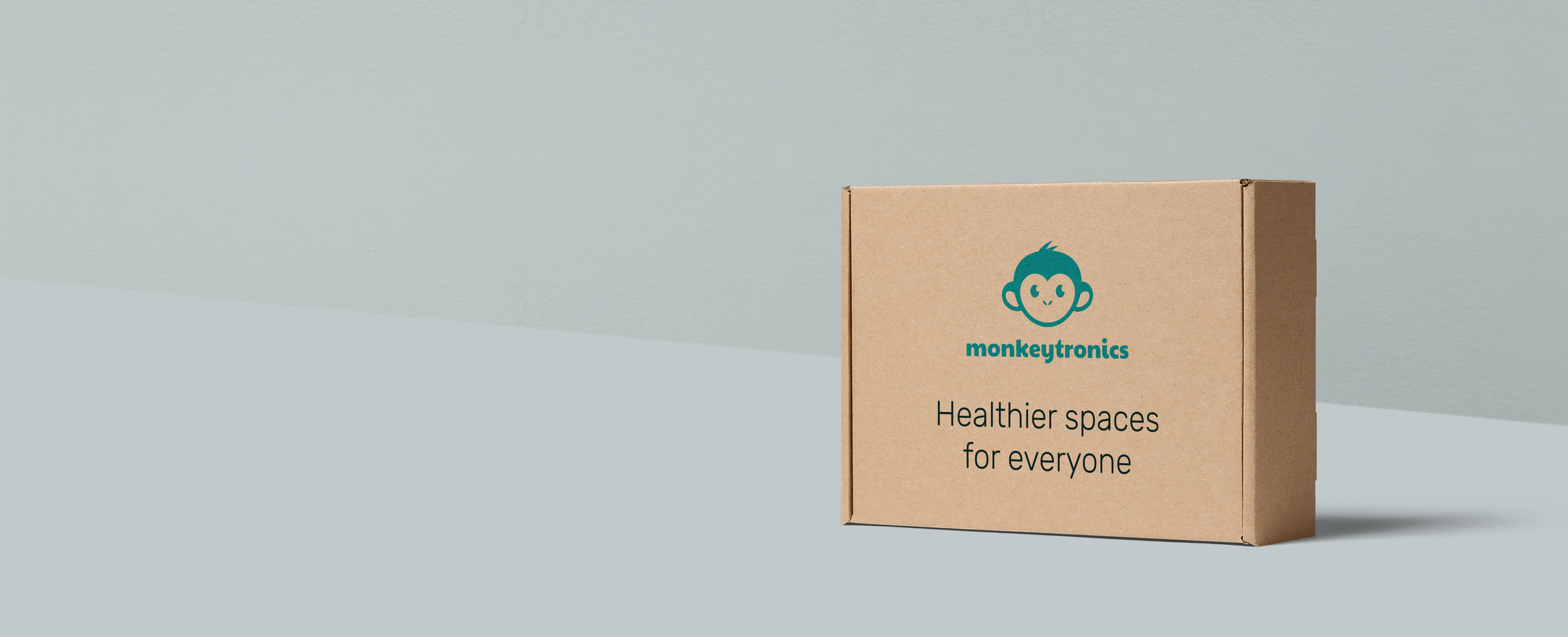 Monkeytronics shipping box